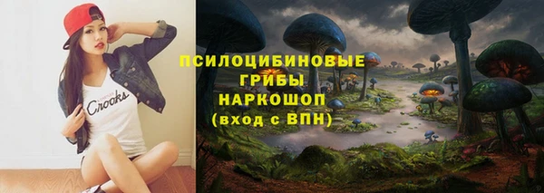 Альфа ПВП Няндома
