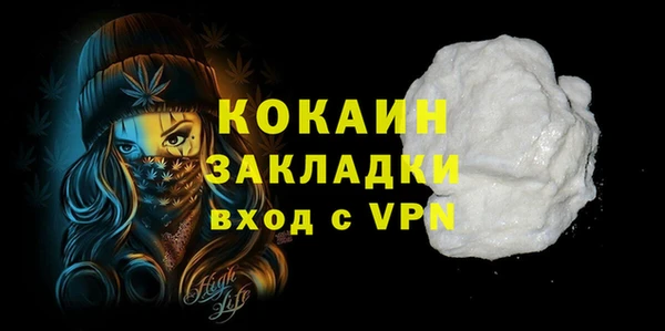 твердый Сясьстрой
