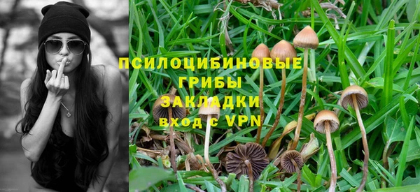 твердый Нягань