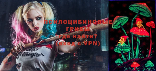твердый Нягань
