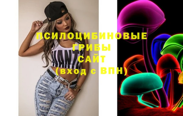 Альфа ПВП Няндома