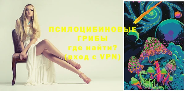 твердый Нягань