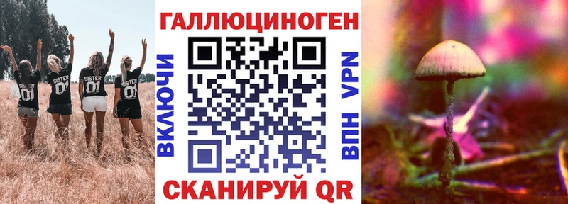 Галлюциногенные грибы Psilocybe Шагонар